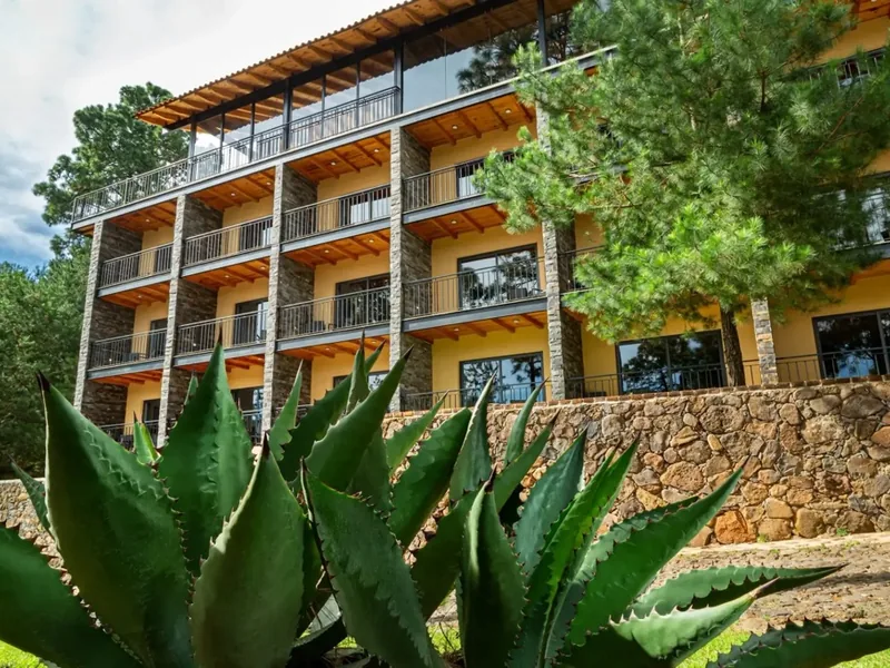 Edificio entre los jardines — Hotel Bosque Escondido