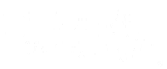 Visita Guadalajara