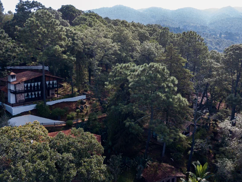 Vista de las cabañas y el bosque — Monteverde