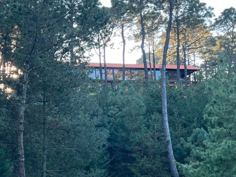 Vista del hotel entre el bosque — Hotel Bosque Escondido
