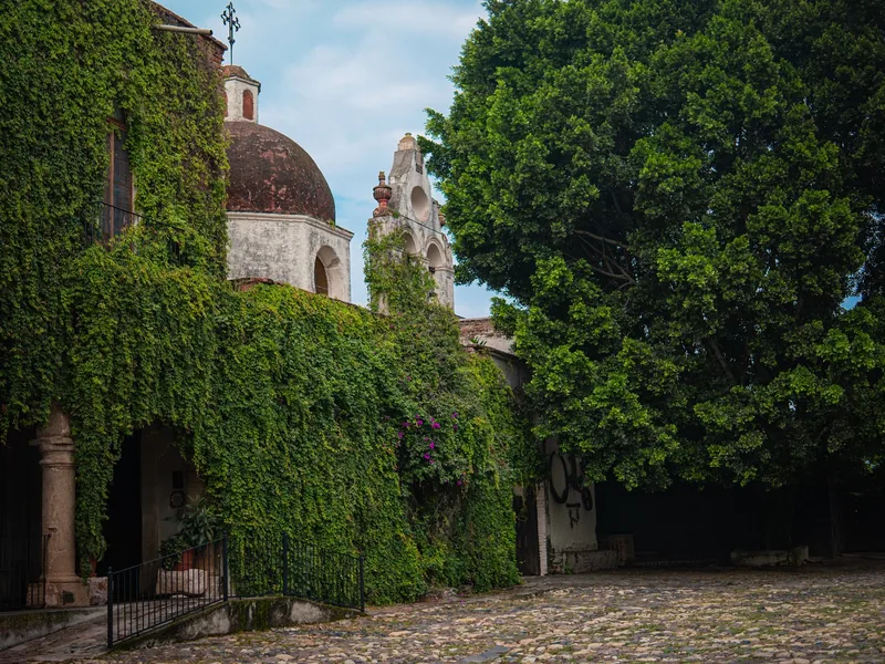 Edificio y jardines — Hacienda El Carmen